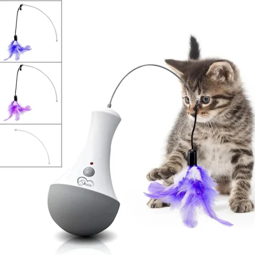 Cat Interactive Toys